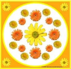 Blumen-Mandala-1.jpg